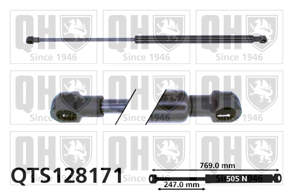 QTS128171