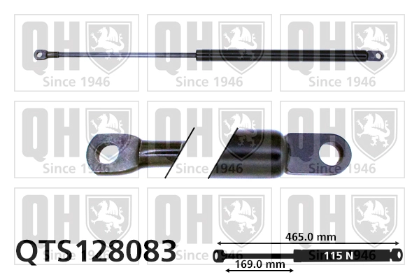 QTS128083