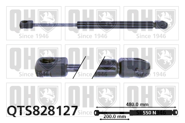 QTS828127