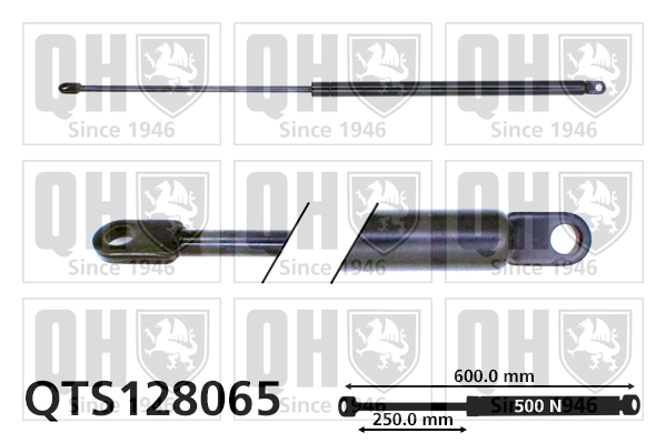 QTS128065