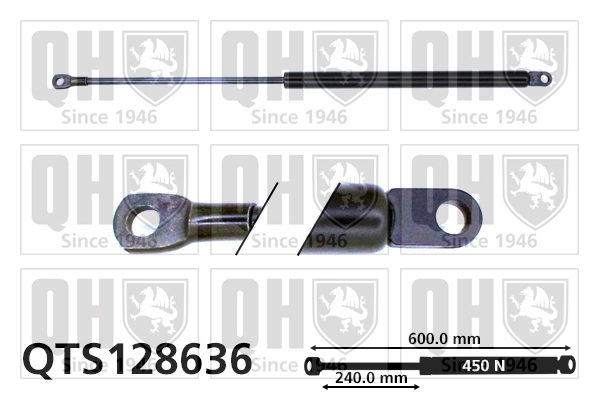 QTS128636