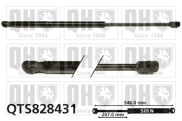 QTS828431