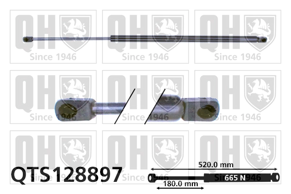 QTS128897