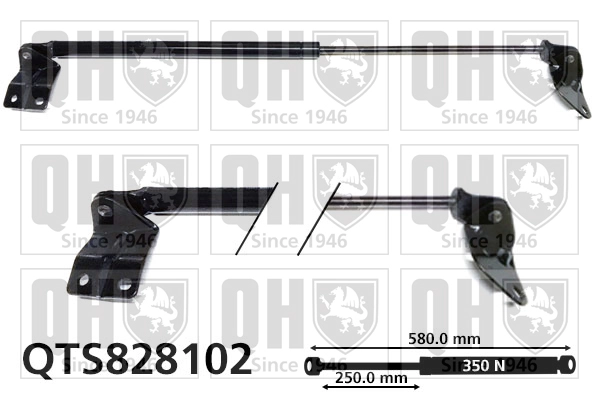 QTS828102