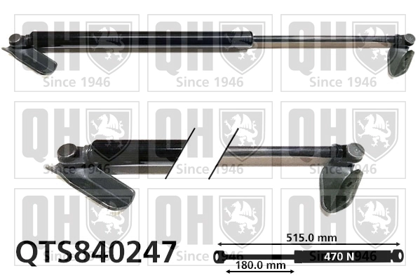QTS840247