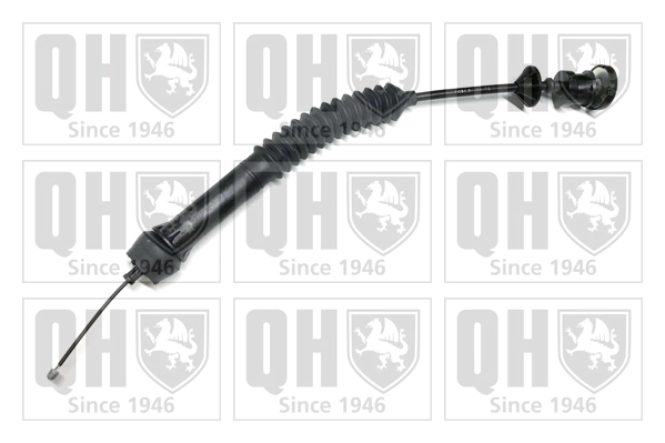 QCC1942