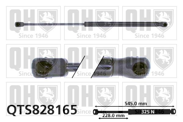 QTS828165