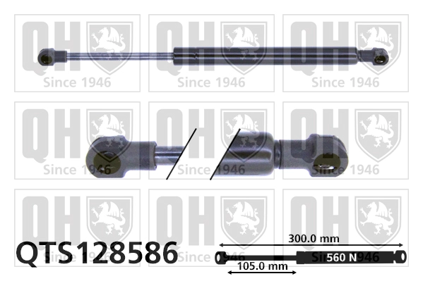 QTS128586