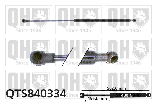 QTS840334