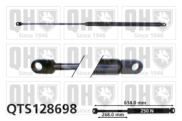 QTS128698