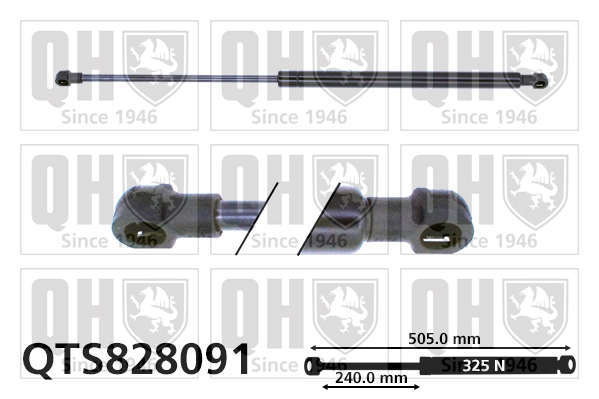 QTS828091