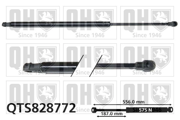 QTS828772