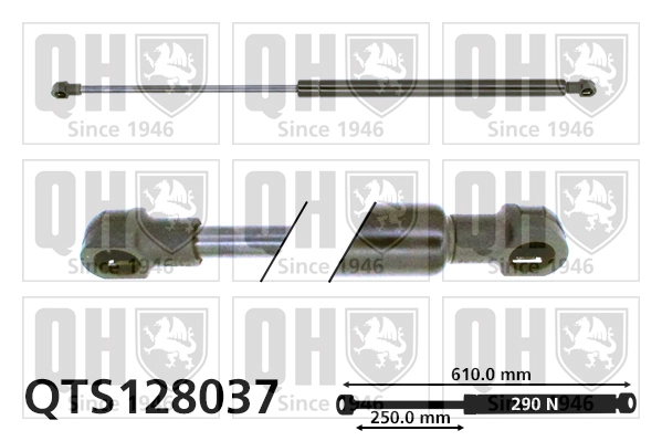QTS128037