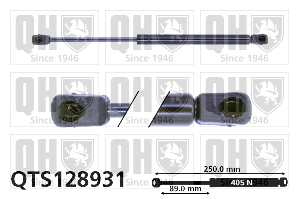 QTS128931