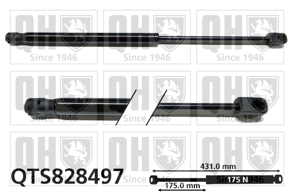 QTS828497