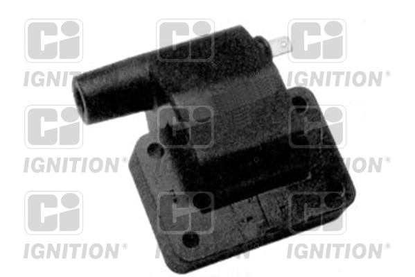 XIC8137
