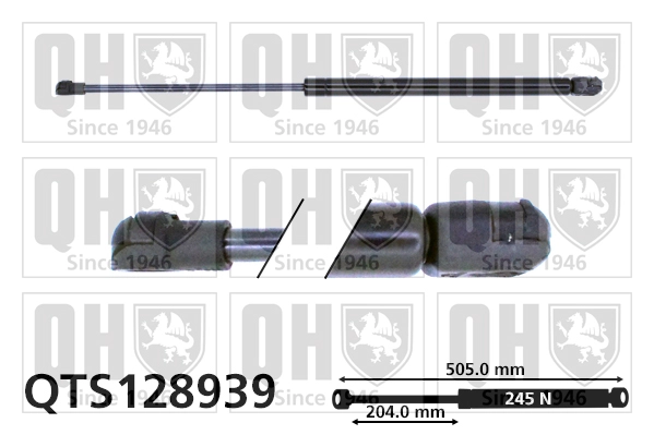 QTS128939