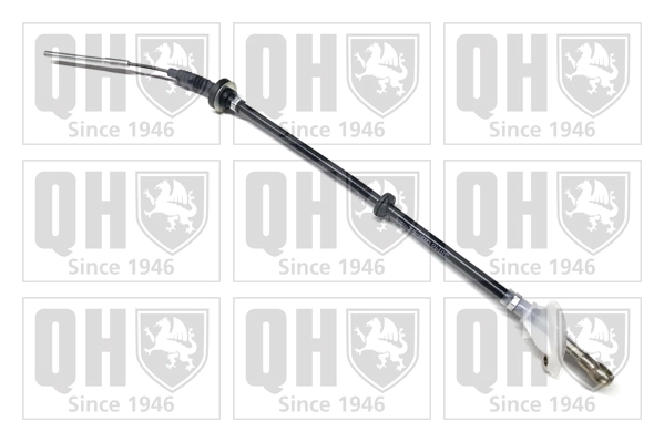 QCC1881