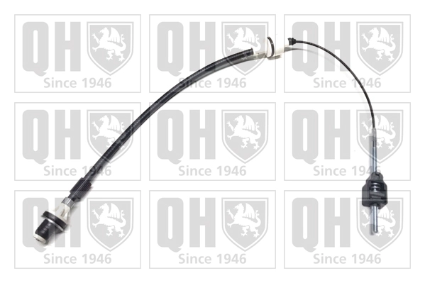 QCC1964