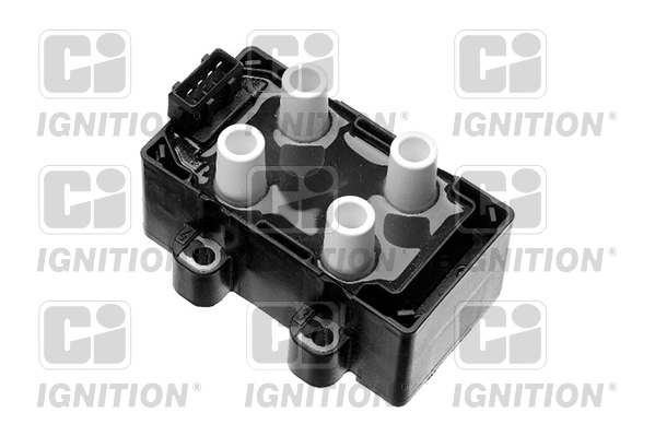 XIC8173