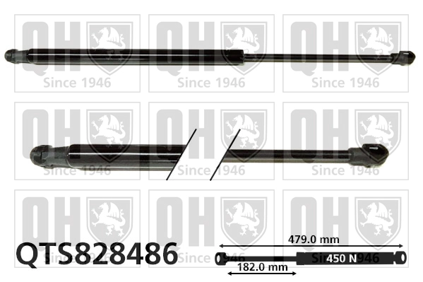 QTS828486