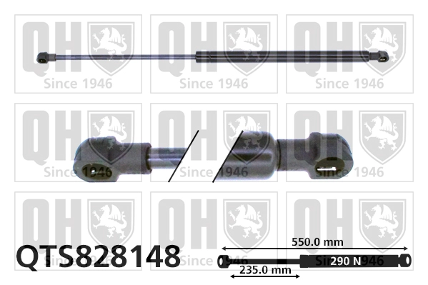 QTS828148