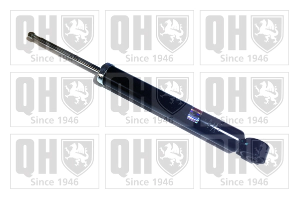 QAG181306