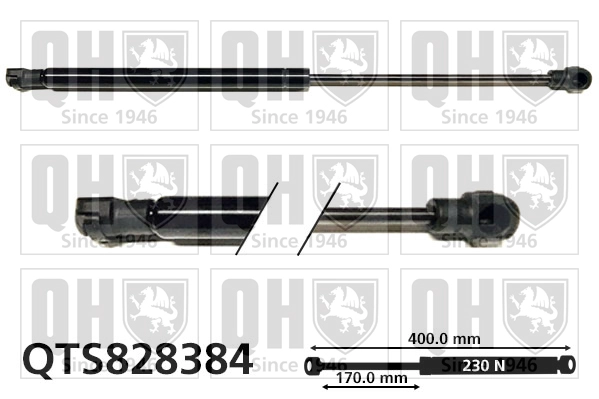 QTS828384