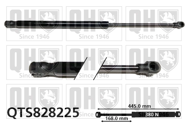QTS828225
