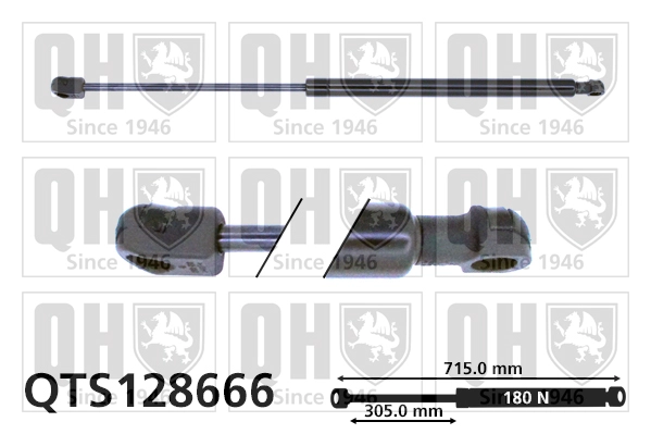 QTS128666