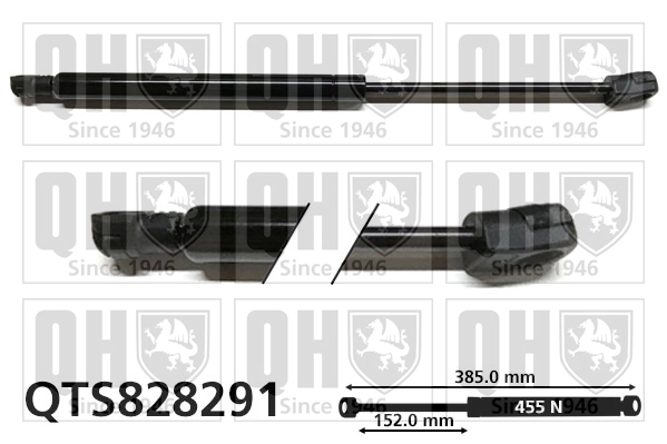 QTS828291
