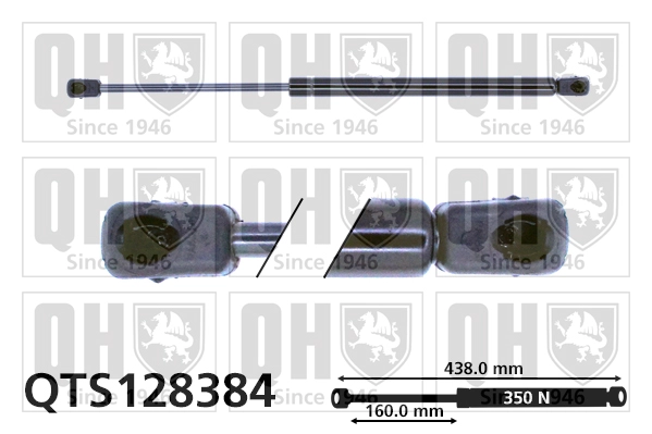 QTS128384