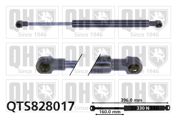 QTS828017