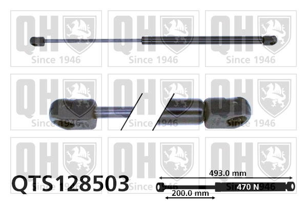 QTS128503