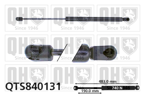 QTS840131