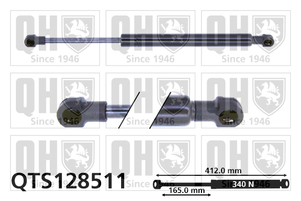 QTS128511
