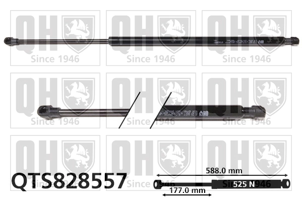 QTS828557