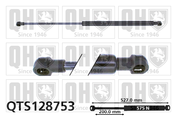QTS128753