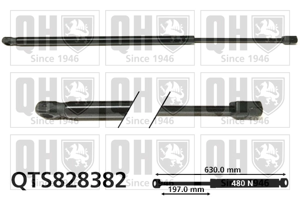 QTS828382