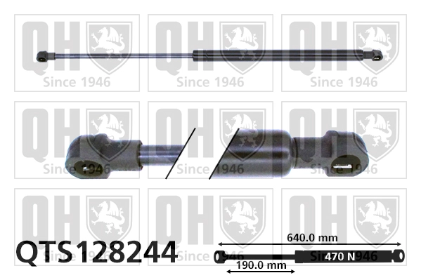 QTS128244