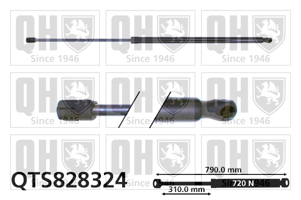 QTS828324