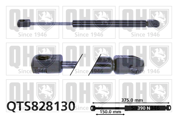 QTS828130