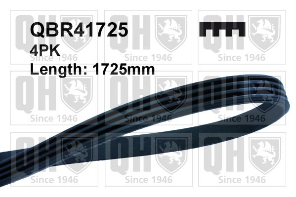 QBR41725