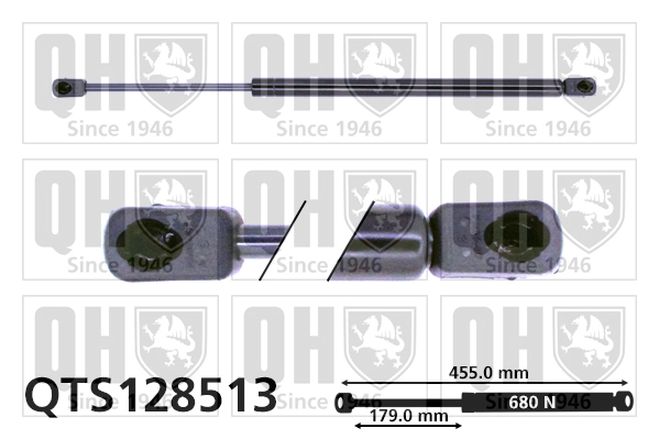 QTS128513