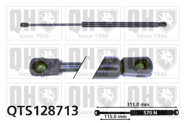 QTS128713