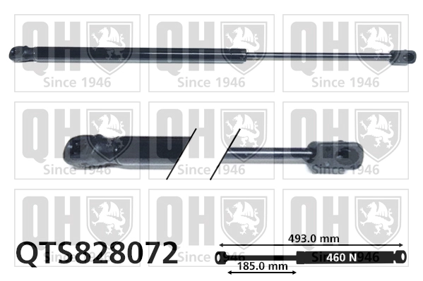QTS828072