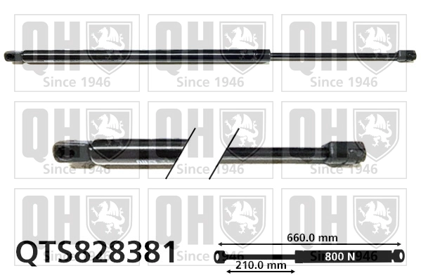 QTS828381