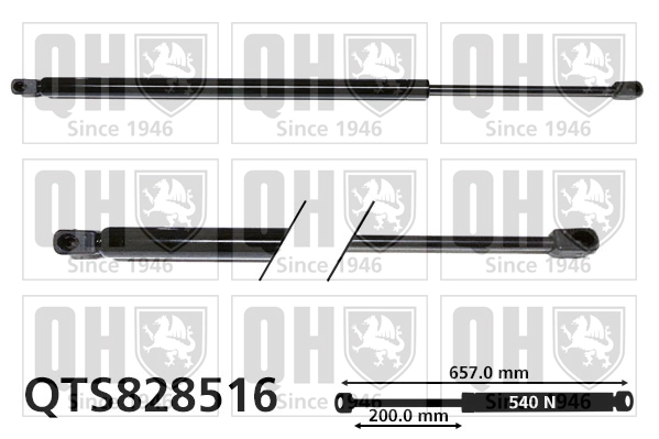 QTS828516