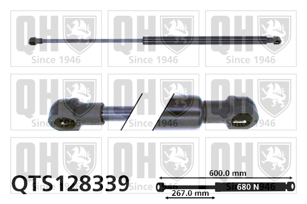 QTS128339