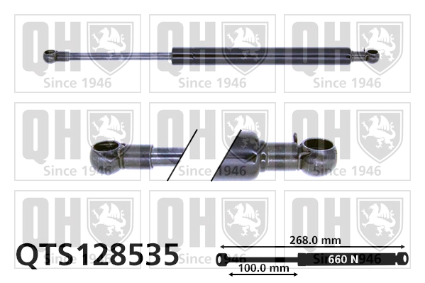 QTS128535